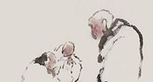 美容师招生简章(独家)